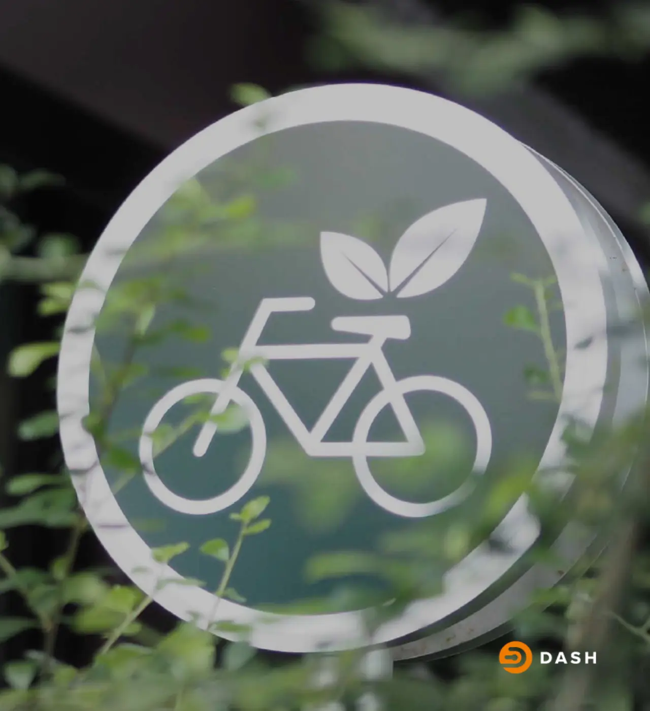 Dash Rides project image 6