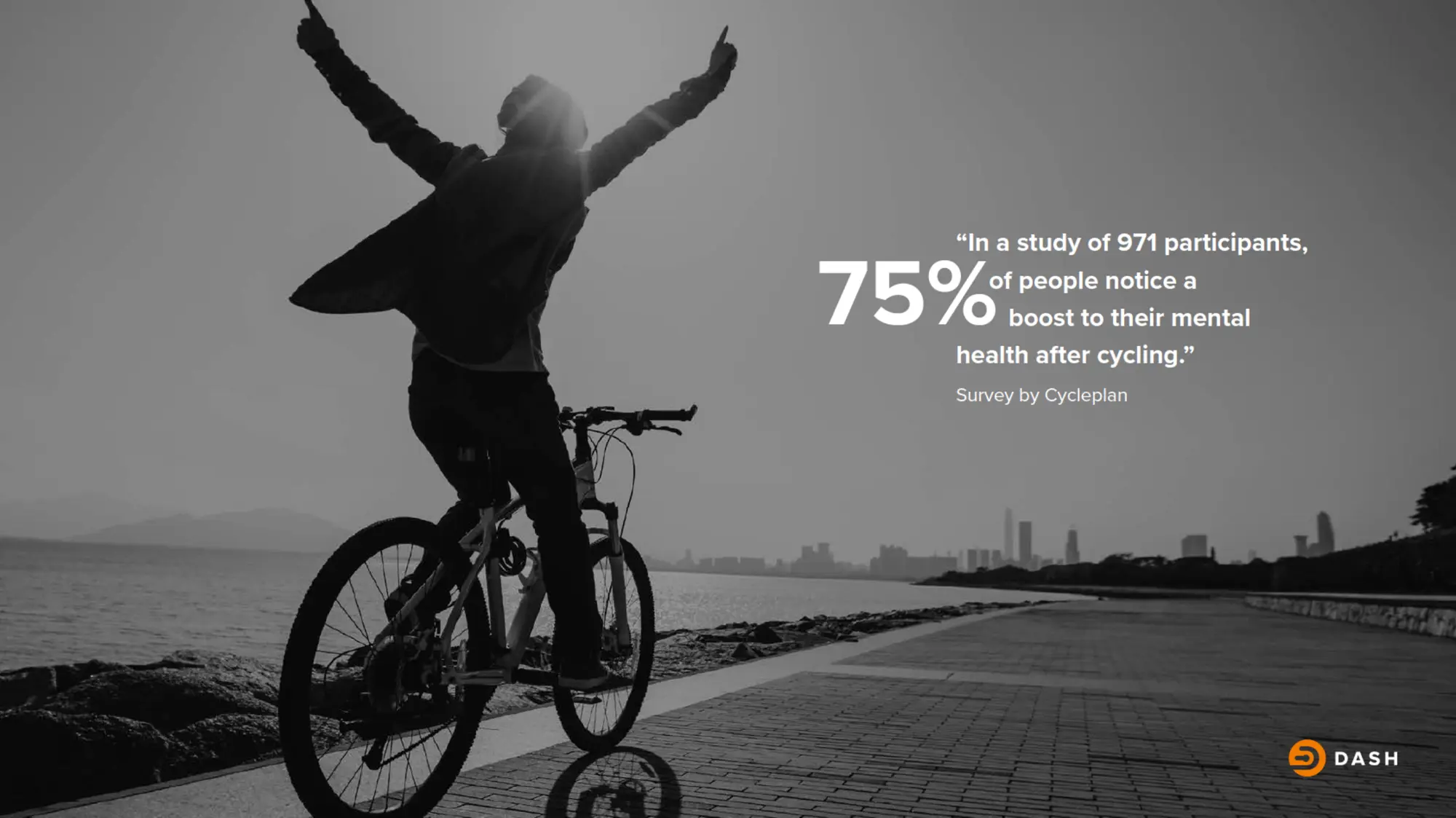 Dash Rides project image 2