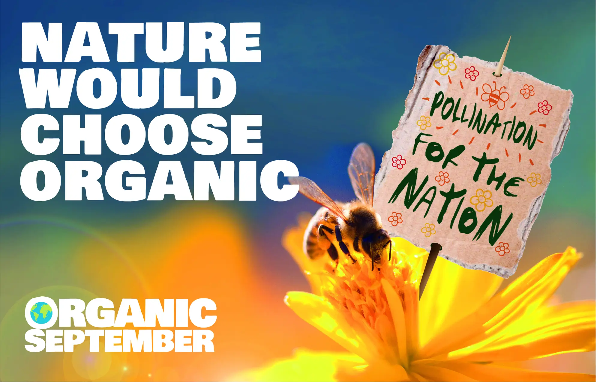 Organic September project image 2